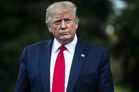 Click on image to see full-sized version trump.jpg
