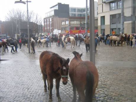 Click on image to see full-sized version dublin_seven.jpg
