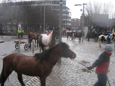 Click on image to see full-sized version smithfield_horsefair.jpg