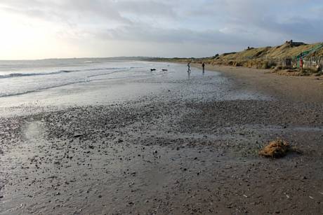 Click on image to see full-sized version Corballis Beach on Sunday 30 December, 2012
