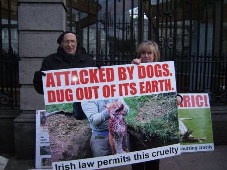 Click on image to see full-sized version Protesters at the Dail