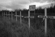 Mayo solidarity with the NIger Delta struggle