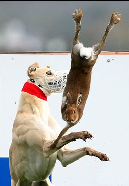 Click on image to see full-sized version Seanad gives special powers to organisation that condones and defends this...